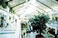 Einblick in das Forum