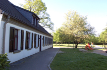 Feldmann Stiftung