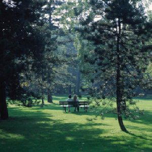 Parkbank im Waldgebiet