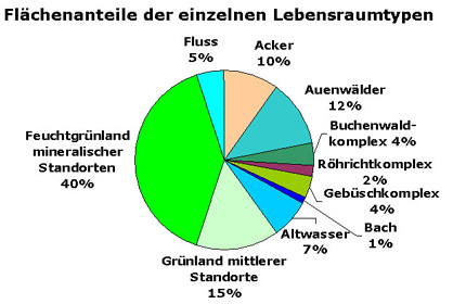 Anteile der Lebensräume der Ruhraue