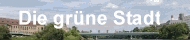 MST-Banner