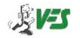 Verein der Freunde und Förderer des Schulsports