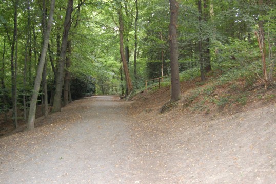 Waldweg im Witthaus Busch. Der Weg führt zur Mendener Höhe.