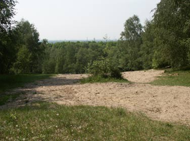 Brachfläche, gehölzfreier Trockenrasen im Uhlenhorst