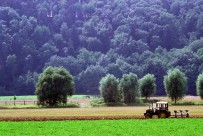 Landwirtschaftlich genutzte Fläche: Neuer Entwurf der Dünge-Verordnung: Stillstand oder Fortschritt bei der Bekämpfung der Nitratbelastung?