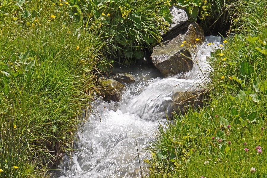 Wasserlauf, Trinkwasser, Quelle, Boden, Naturschutz, Umweltschutz - Bild von Erich Westendarp auf Pixabay