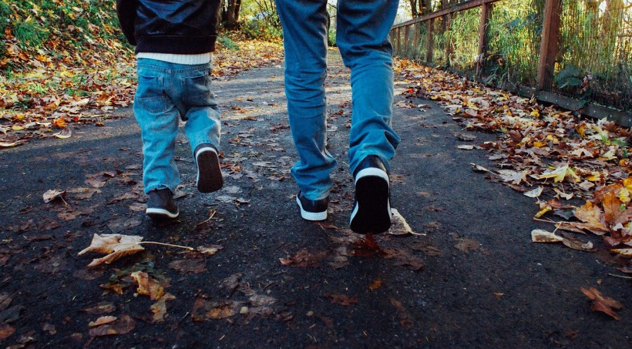 Bildausschnitt, Vater und Kind laufen einen Waldweg im Herbst entlang. - Eine Beistandschaft kann für die Feststellung der Vaterschaft und Regelung der Unterhaltsansprüche des Kindes eingerichtet werden. - Pixabay
