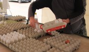 Marktstand auf dem Wochenmarkt, Obstverkauf, Eier, Markthändler, Bürgerschaft: Ein Markthändler verkauft an seinem Stand Eier in verschiedenen Größen - Sabine Meier