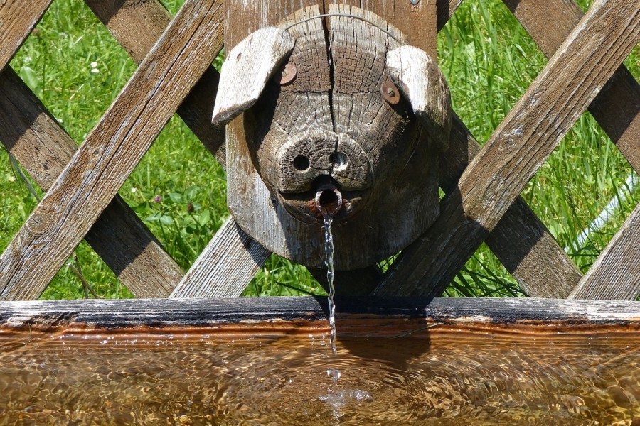 Brunnen als Tränke für Vieh in der Landwirtschaft. Infos zur Grundwasserentnahme. - Pixabay