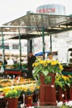 Wochenmarkt Schloßstraße Wochenmarkt Schloßstraße