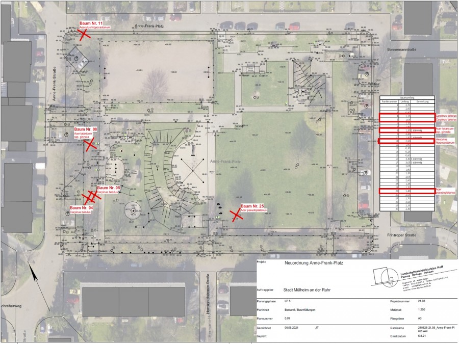 Plan der Baumfällungen am Anne-Frank-Platz in Mülheim-Dümpten - Amt für Grünflächenmanagement und Friedhofswesen