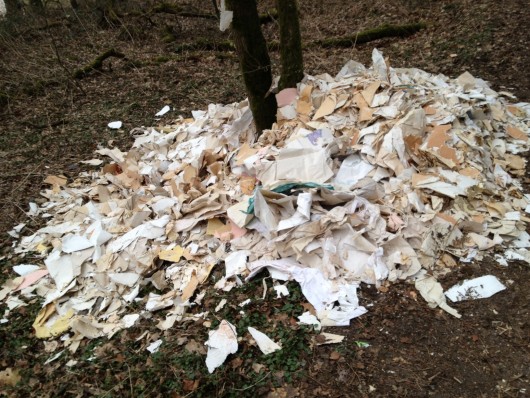 Wilde Müllkippe entdeckt - und dies mitten im Landschaftsschutzgebiet!