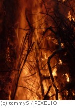 Weiterhin hohe Waldbrandgefahr – Feuerwehr in erhöhter Einsatzbereitschaft
