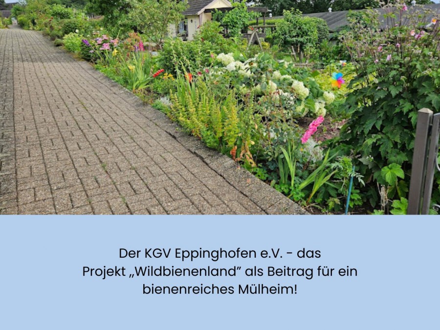 Auf dem Foto sieht man ein Blumenbeet im KGV Eppinghofen. - KGV Eppinghofen e.V. - Stabstelle Klimaschutz und Klimaanpassung