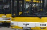 Busse und Straßenbahnen der MVG