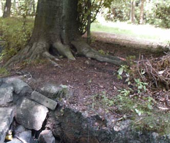 Bauschutt im Wald