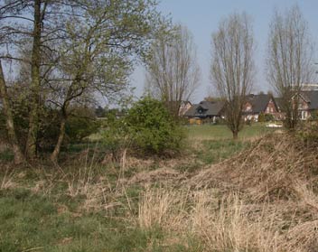 Brachflächen am Wambach in Saarn