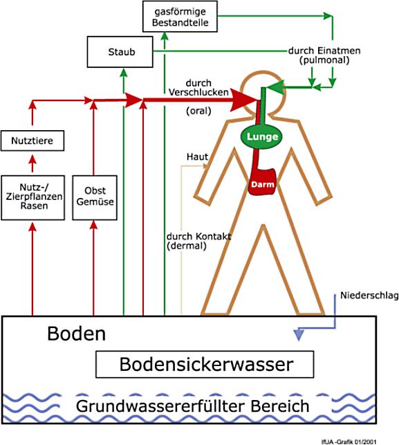 Schema Gefährdungspfade