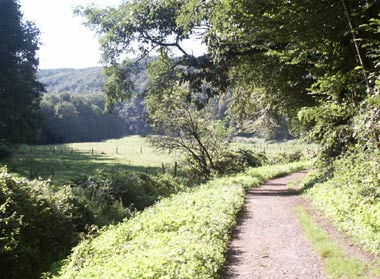 Wanderweg am Auberg