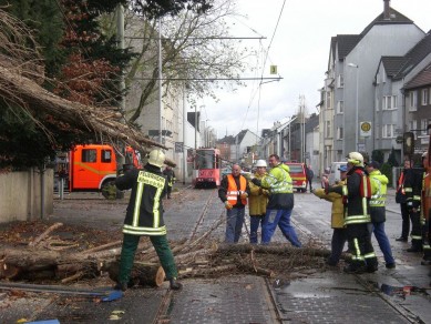 Ein umgestürzter Baum hatte die Oberleitung der Linie 901 auf der Duisburger Straße in Höhe des Blötter Weg heruntergezogen. Feuerwehr und MVG waren gemeinsam im Einsatz.