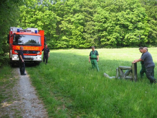 Mit schwerem Gerät wurde der Bogenschütze von der Feuerwehr aus dem Wald gezogen und geborgen.
