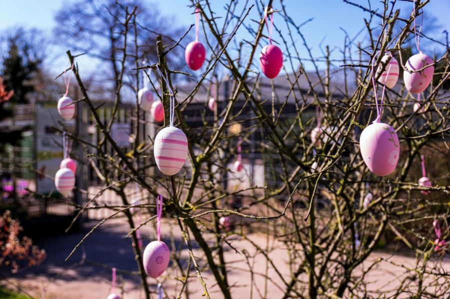 Ostergrüße aus dem Arche-Park - wir wünschen ein schönes Osterfest - Dieter Klein