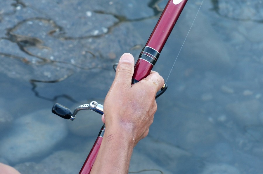 Angler hält eine Angelrute. Angeln, Fischen, Fischereischein, Angelschein - Pixabay