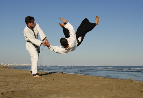 Wer die japanische Kampfkunst Aikido ausprobieren möchte, der kann dies am 9. Oktober 2010 tun.       