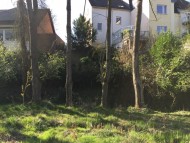 Baumfällung und Baumsicherung am namenlosen Gewässer im Bereich Steiler Weg 25 - Amt für Umweltschutz