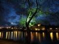 Winterleuchten an der Ruhrpromenade: Die Bäume am Ruhrufer und die historische Eisenbahnbrücke werden mit farbigem Licht in Szene gesetzt. - Quelle/Autor: Daniela Gümpel-Hense