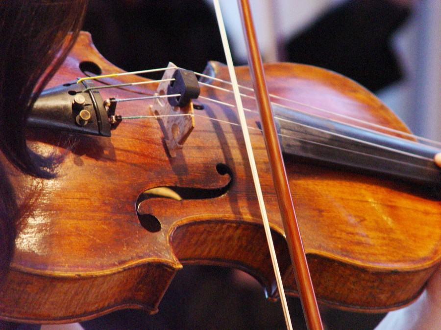 Bild von Streichinstrumenten, hier eine Geige/ Violine. Einsatzzweck ist Werbung für die Musikschule Mülheim an der Ruhr. - Pixabay