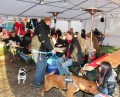 Die Tierheimbescherung am 14. Dezember 2014 war wieder einmal ein voller Erfolg. Es kamen viele Besucher und Spender vorbei! - Quelle/Autor: Marion Niederdorf