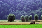 Bild der Mintarder Ruhraue, Zu sehen landwirtschaftliche Nutzung mit Traktor