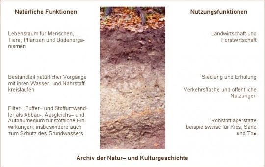 Böden haben eine Vielzahl von Funktionen. Natürliche konkurrieren mit den Nutzungsfunktionen,  um unsere Böden.