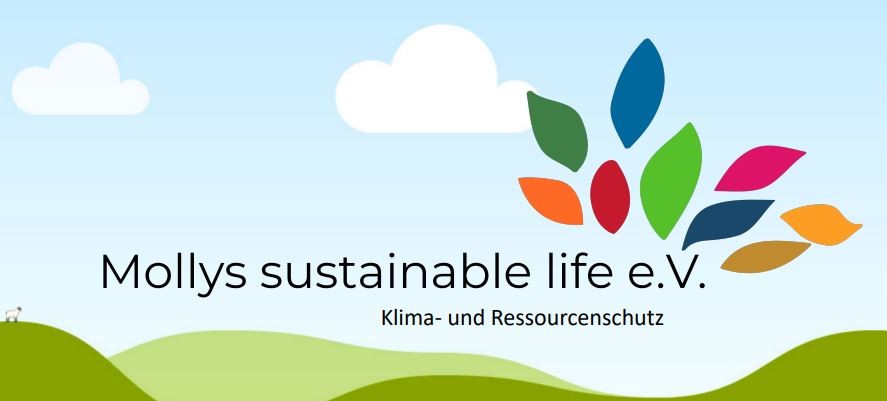 Deutsche Aktionstage Nachhaltigkeit, Workshop Waschpulver selbst herstellen - Mollys sustainable life e.V.