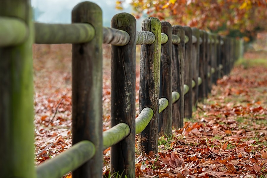 Gartenzaun aus Hoöz mit moos, auf dem Boden liegt buntes Herbstlaub. Holzzaun, Grundstücksteilung, Grenzregelungen, Infos zum vereinfachten Umlegungsverfahren. - Pixabay