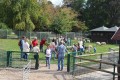 Tierpatentag am 16. September 2018 im Tiergehege Arche Park Witthausbusch - Quelle/Autor: Amt für Grünflächenmanagement und Friedhofswesen