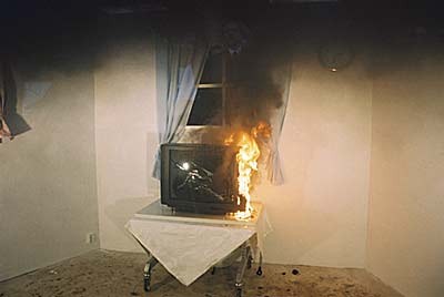 Sollte Ihr Fernseher anfangen zu brennen oder zu qualmen, unterbinden Sie sofort die Stromzufuhr.