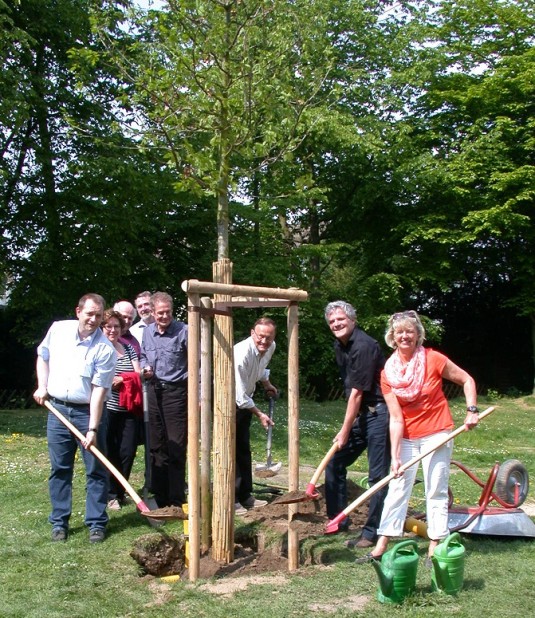 Am Freitag, 25. April 2014 wurde auf dem Spielplatz im Witthausbusch symbolisch der Baum des Jahres 2014 (Trauben-Eiche) durch die Mitglieder des Ausschusses für Umwelt und Energie gepflanzt.