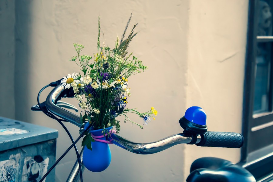 Fahrradlenker mit einem Wiesen-Blumenstrauß. Stadtradeln - Bild von birgl auf Pixabay