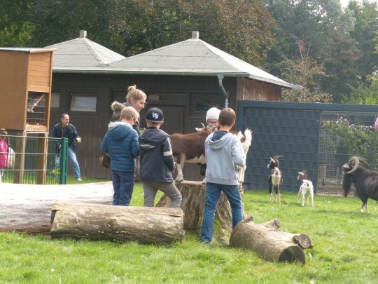 Kinder streicheln beim Tierpatentag Ziegen im Tiergehege Witthausbusch 2017
