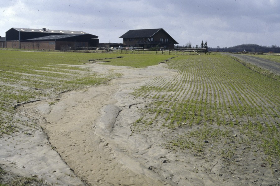 Landwirtschaftlich genutzte Fläche, die brach liegt. Die Fläche zeigt starke Erosionsschäden durch Wasser. Hierbei wird der Oberboden abgespült.