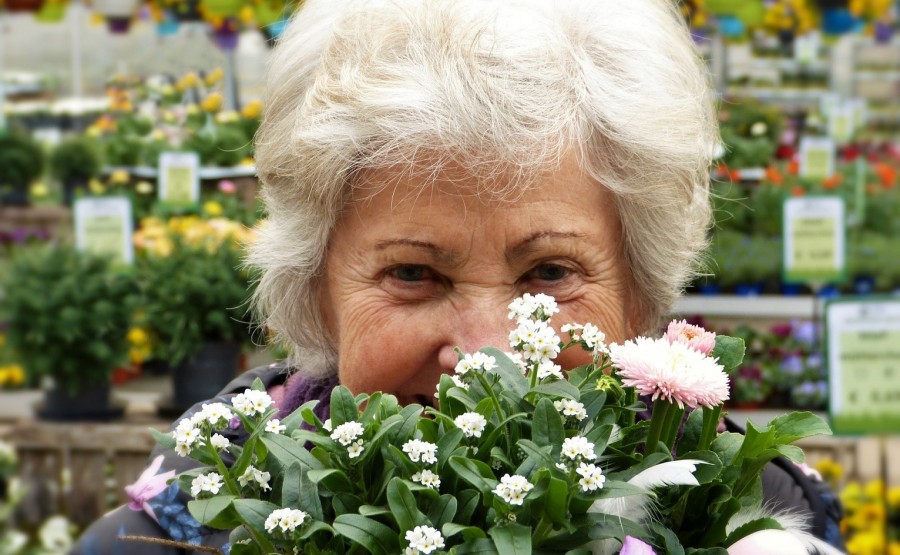 Ältere Frau schaut hinter einem Blumenstrauß hervor. Seniorinnen und Senioren - Bild von silviarita auf Pixabay