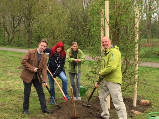 Pflanzung Baum des Jahres 2015 - Feldahorn: v.l.n.r., André Pütz (FDP), Sylvia Waage (Amt 67), Brigitte Erd (Grüne und Vorsitzende des Umweltausschusses), Ulrich Scholten (SPD).