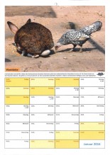 Januarblatt des 3. Mülheimer Tierkalenders 2015