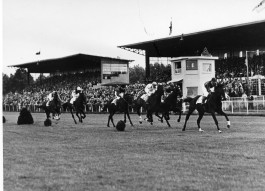 Pferderennen auf der Rennbahn Raffelberg Ende der 1940er Jahre