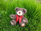 Der AIDS-Teddy sitzt mit seiner roten Schleife um den Hals auf der Wiese und genießt die Sonne.