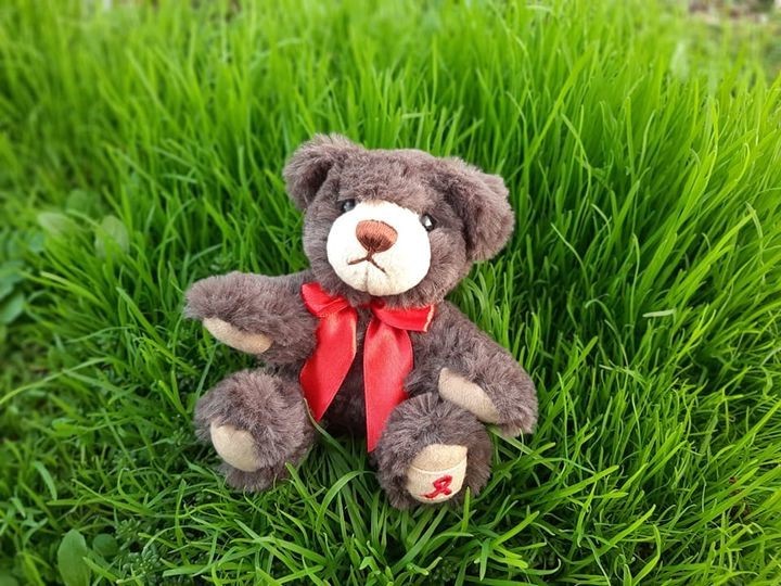 Der AIDS-Teddy sitzt mit seiner roten Schleife um den Hals auf der Wiese und genießt die Sonne. - Gesundheitsamt - Steiner