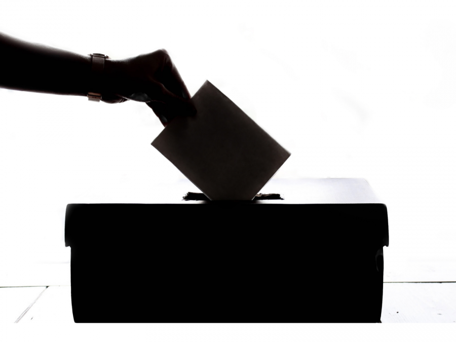 Eine Person wirft einen Stimmzettel in eine Wahlurne. - Element5Digital, Canva