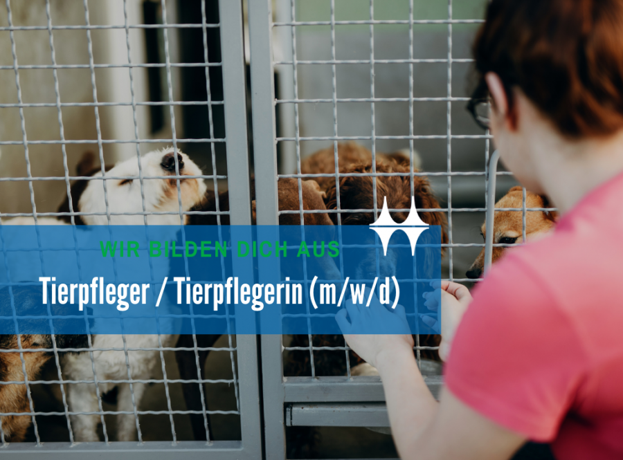 Ausbildung bei der Stadt Mülheim an der Ruhr: Tierpfleger / Tierpflegerin - canva